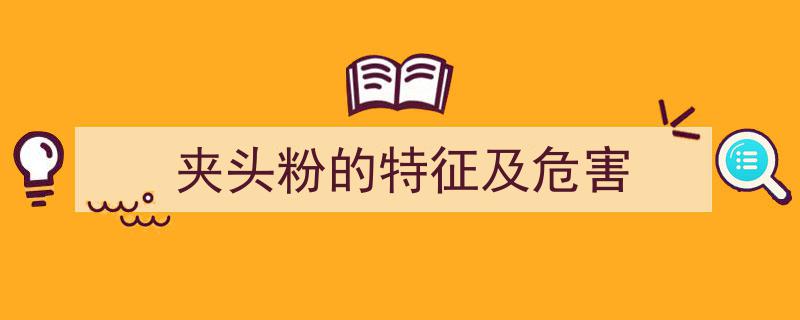 夹头粉的特有属性与潜在危害解析"/