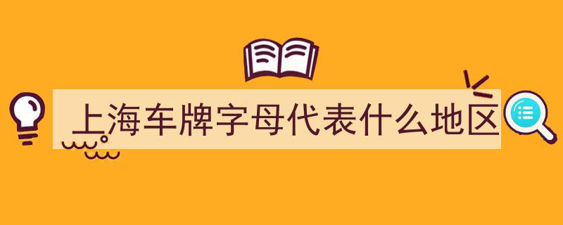 揭秘上海车牌字母,解码字母背后的区域奥秘"/
