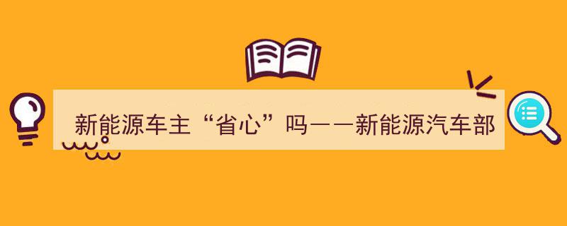 新能源车主省心指数揭秘,新能源汽车部分品牌售后服务调查报告"/