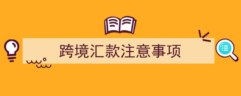 跨境汇款必看,六大注意事项助您安全高效转账"/