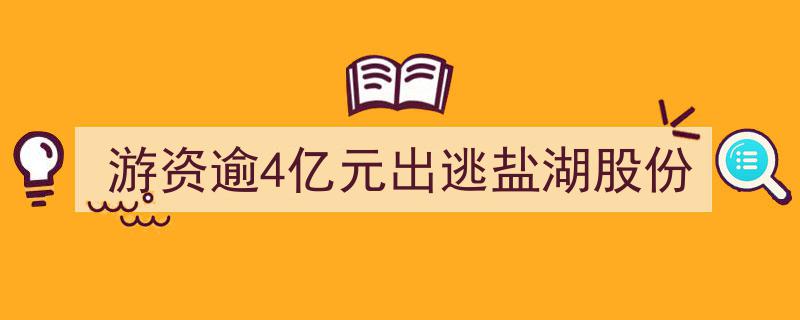 游资逾4亿撤离盐湖股份，市场风向突变引关注"/