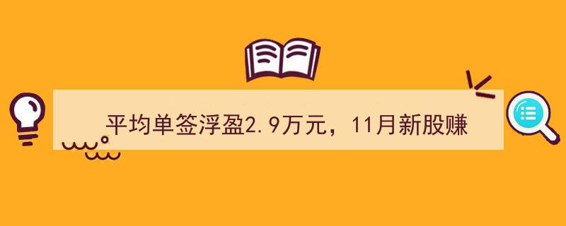 11月新股热浪再起,平均单签浮盈2.9万元，赚钱效应跻身年内第三位"/
