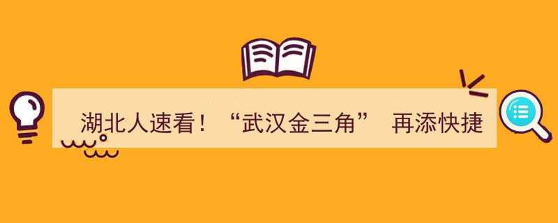 “湖北人速看！武汉金三角新快捷通道2026年通车，连接三大核心区！”"/