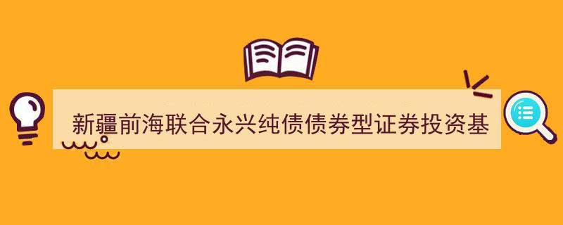 新疆前海联合永兴纯债债券型基金招募说明书（最新版）摘要解析"/