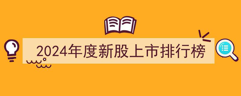 2024年度新股上市风云榜,盘点新晋企业明星排行"/