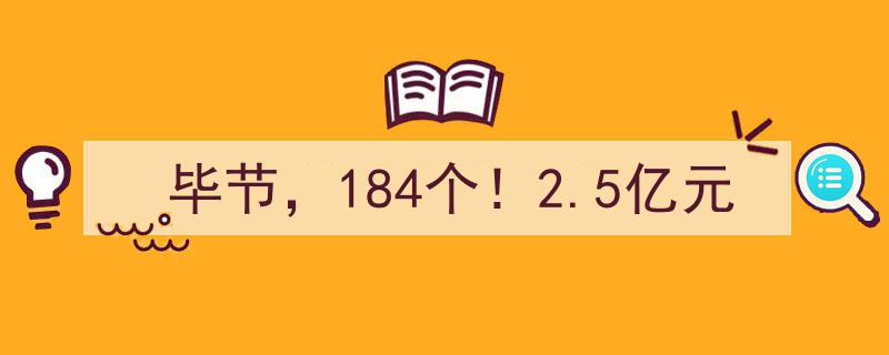 毕节市迎来184个项目大潮，总投资达2.5亿元助力发展新篇章"/