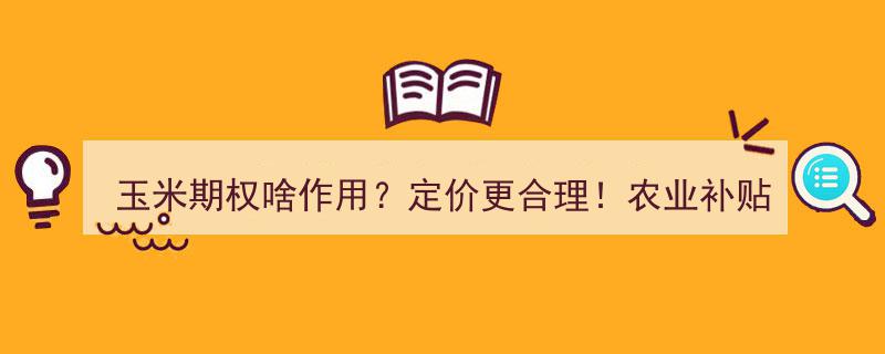 玉米期权助力农业补贴精准定价，提升农业补贴效果，大户需密切关注！"/