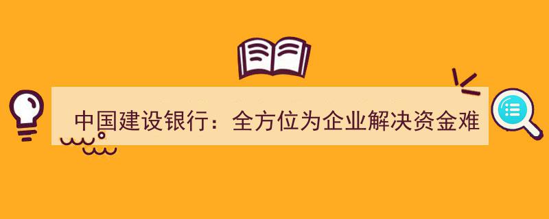 中国建设银行助力企业,全方位破解资金难题，共筑发展新篇章"/