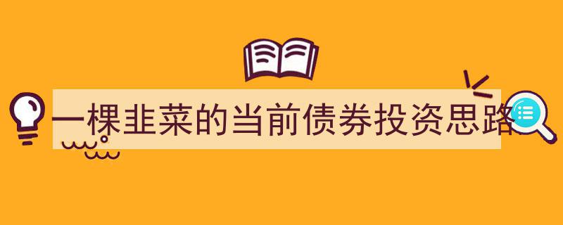 一棵韭菜的债券投资攻略,揭秘当前债券投资新思路"/