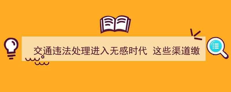 交通违法处理迈入无感时代,这些缴费渠道助你省下20%手续费"/