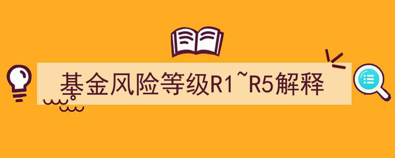 基金风险等级解析,R1至R5投资风险揭秘"/