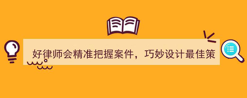 卓越律师之道,精准把脉案件，策略制胜，构建完美致胜蓝图"/