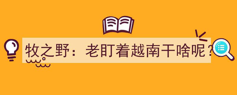 牧之野热议,究竟为何老盯着越南不放？深度解析背后的原因"/