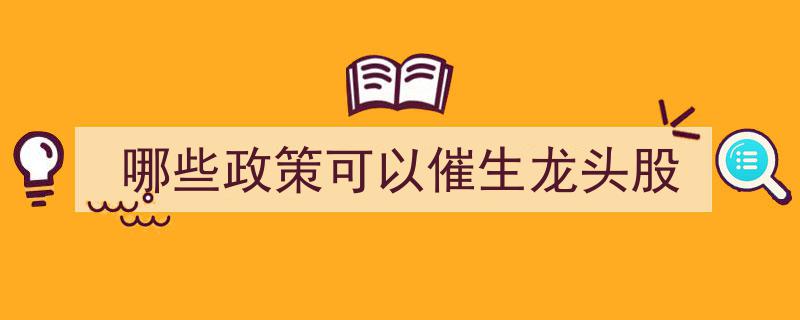 解析,哪些政策利好助燃龙头股崛起"/
