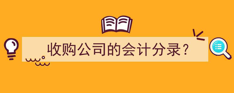 收购公司会计分录解析与操作指南"/