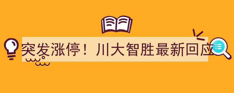 突发涨停！川大智胜最新回应解析"/