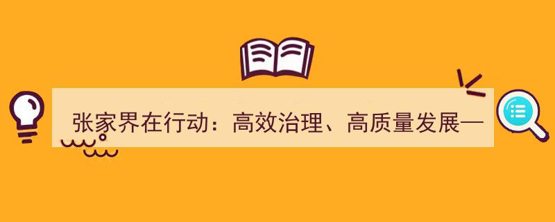 张家界在行动,金鑫谈高效治理与高质量发展之旅"/