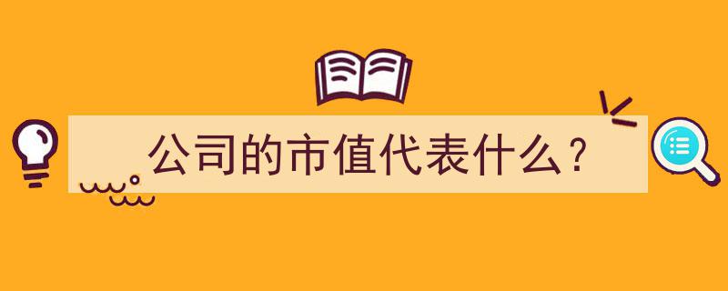 公司市值,揭示企业价值与市场认可度的关键指标"/