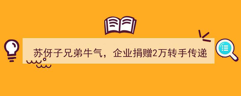 苏伢子兄弟牛气冲天！企业慷慨捐赠2万，直播佣金传递爱心，首场收益曝光引关注"/