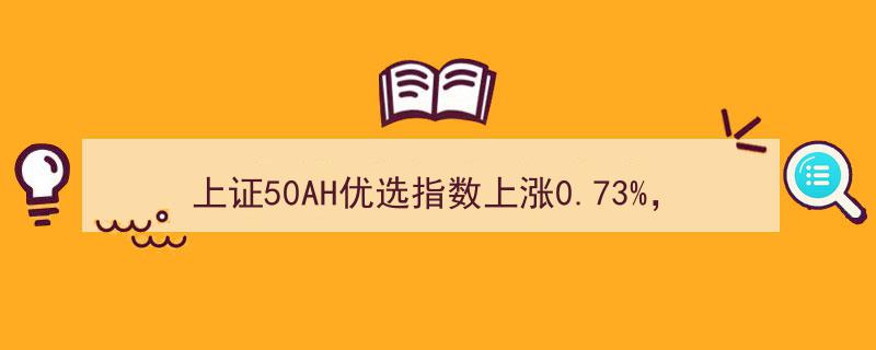 上证50AH优选指数攀升0.73%，中信证券领衔前十大权重股"/