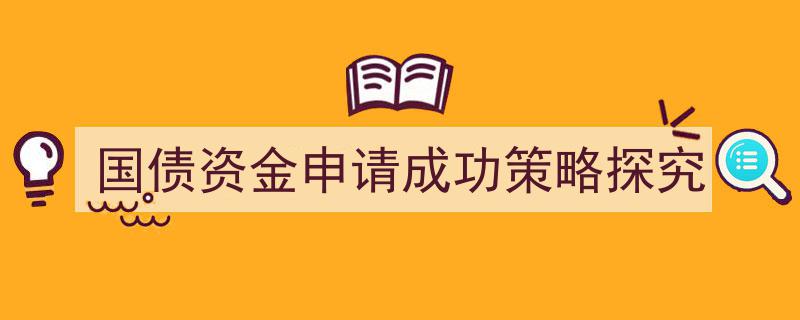 国债资金申请成功策略深度解析与探究"/