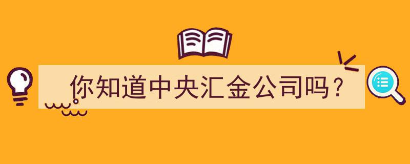你知道中央汇金公司,揭秘我国金融领域的神秘巨头！"/