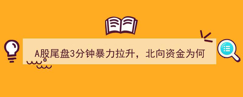 A股尾盘惊现3分钟暴力拉升，北向资金神秘大幅买进背后的真相"/