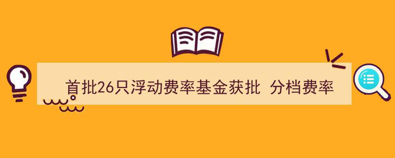首批26只浮动费率基金正式获批，分档费率设计策略全解析曝光"/