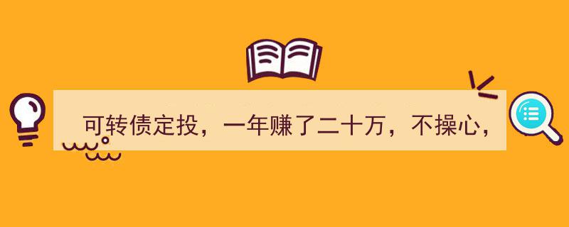 一年轻松赚二十万，可转债定投,省心省力，投资体验佳"/