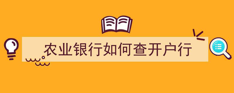农业银行开户攻略,轻松查询您的开户行信息"/