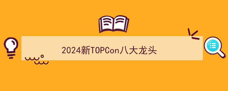 2024年新TOPCon技术领域八大领军企业盘点"/