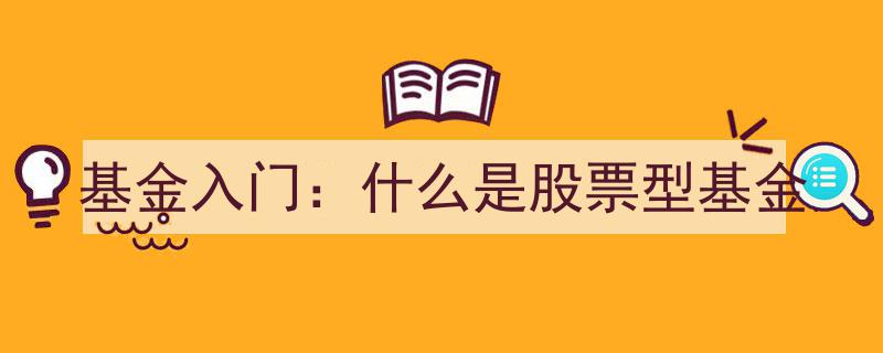 基金入门攻略,深度解析股票型基金的核心特点"/