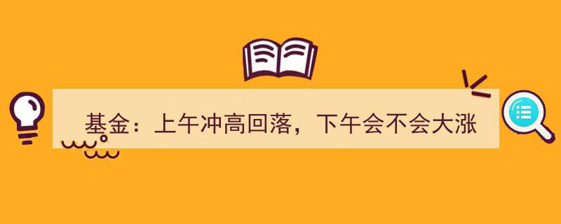 基金市场,上午冲高回落，午后能否迎来大涨反转？"/