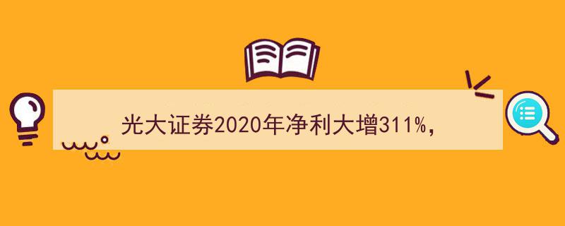光大证券2020年净利润激增311%，财富管理业务集群助力收入占比超五成"/