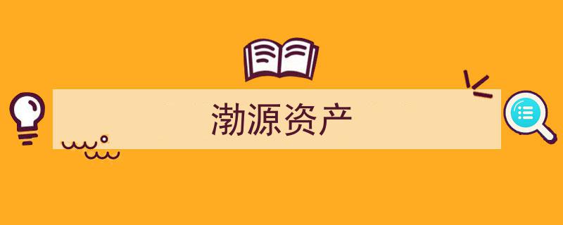 渤源资产,引领金融创新的海洋财富先锋"/