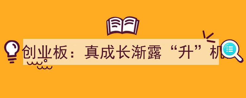 创业板,真成长企业蓄势待发，升势渐露光芒"/