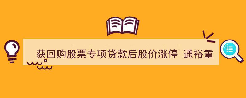 通裕重工股价涨停！获回购股票专项贷款助力，主力资金涌入创三年新高"/