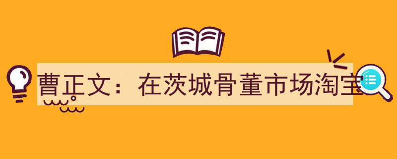 曹正文茨城探宝记,骨董市场淘宝之旅"/