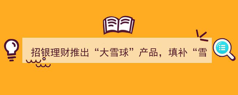 招银理财创新力作——推出“大雪球”产品，拓展雪球类理财产品新领域"/