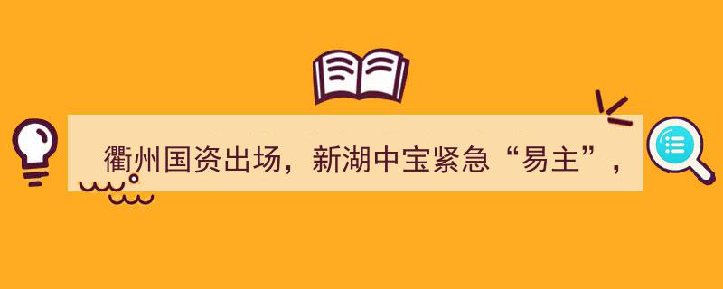 衢州国资强势介入，新湖中宝股权突变能否破解信托延兑困境？"/