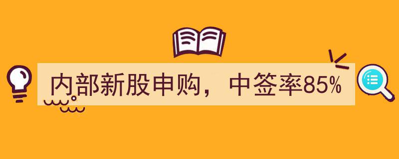 内部新股申购攻略,中签率高达85%的独家秘籍"/
