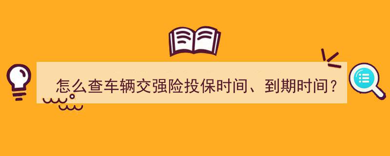“一学就会！5招教你轻松查询车辆交强险投保与到期时间”"/