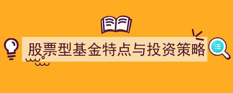 深度解析,股票型基金特点与投资策略全方位攻略"/