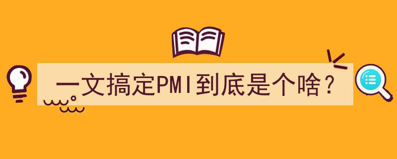 一文搞定,PMI究竟是什么？全面解析项目管理协会的奥秘"/