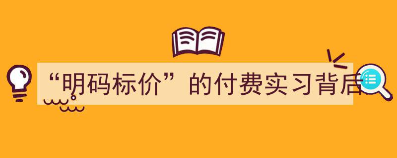 揭秘“明码标价”付费实习背后的真相与争议"/