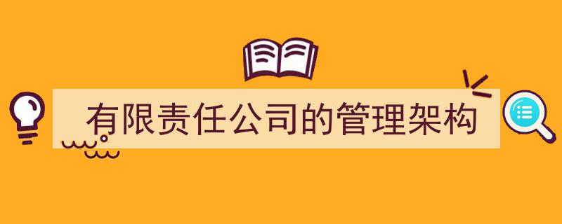 有限责任公司高效管理架构解析与应用"/