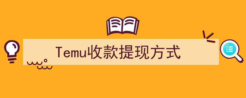 探索Temu平台收款提现多样化方式"/