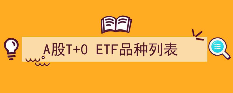 A股T+0