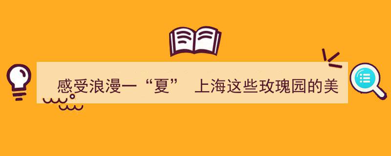 夏日浪漫绽放,上海玫瑰园美景，浪漫气息藏不住"/