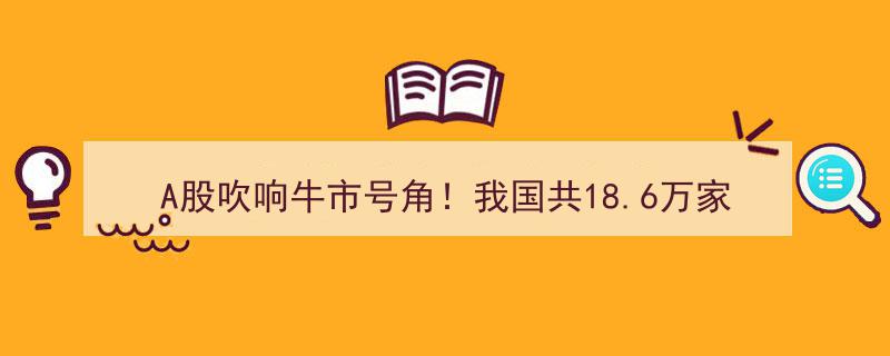 A股牛市号角吹响！中国证券行业企业总数突破18.6万家"/